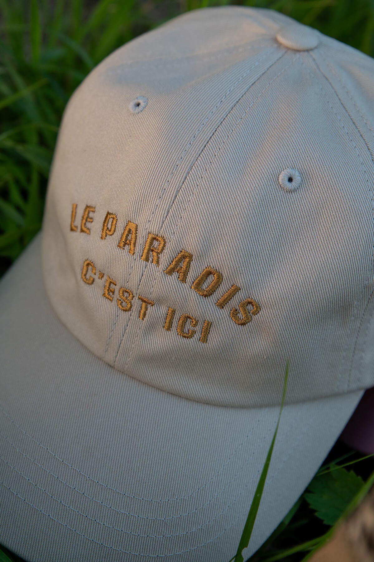 Pet - Le Paradis C'est Ici - beige