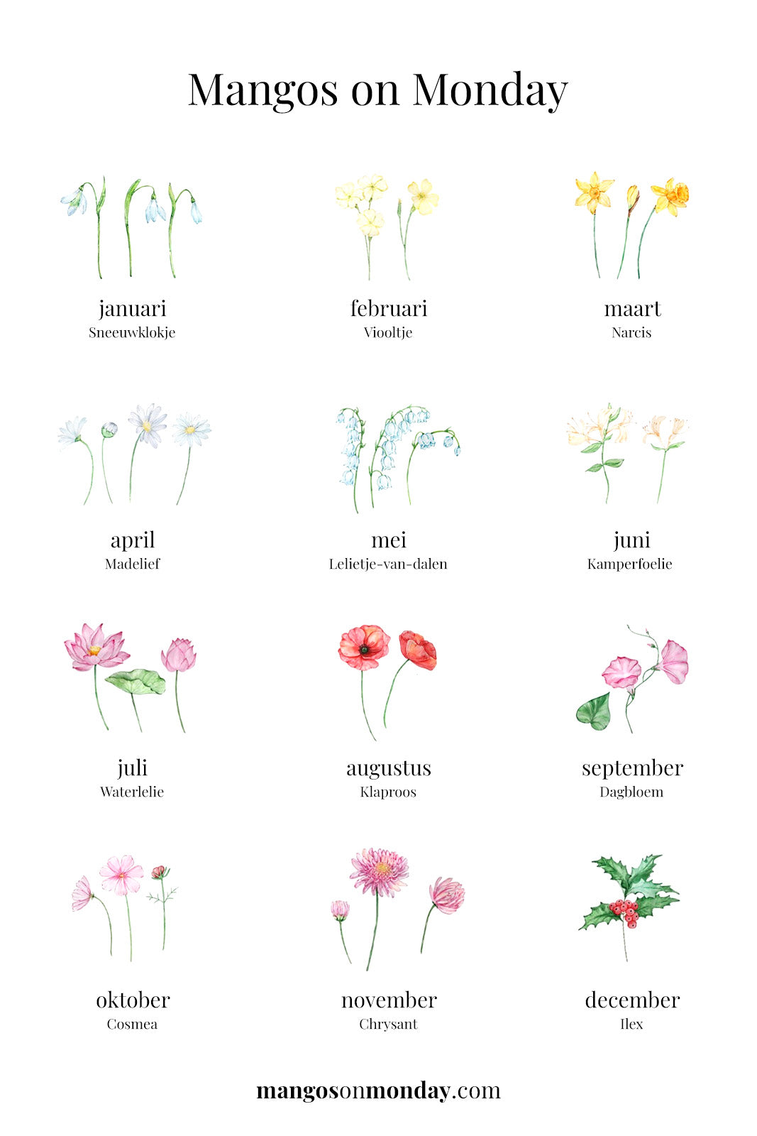 Flowers - t-shirt - Mangos on Monday